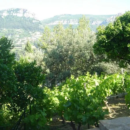 Contemporaine Avec Vue